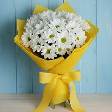 Букет цветов из:  Хризантемы в Добринка Липецкая область