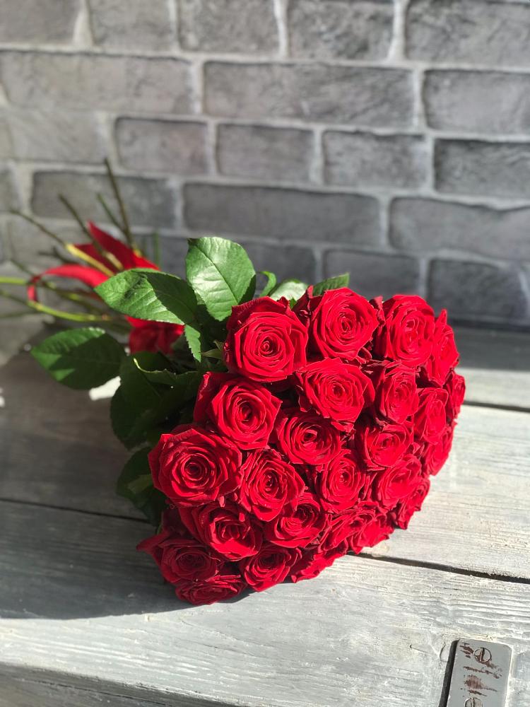 Букет Красные розы Фридом в Добринка Липецкая область