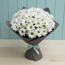 Букет цветов из:  Хризантемы в Добринка Липецкая область