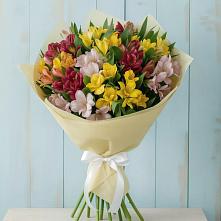 Букет цветов из:  Альстромерии в Добринка Липецкая область