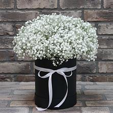 Цветочная композиция из Гипсофила в шляпной коробке в Добринка Липецкая область